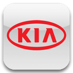 Кузовной ремонт автомобиля Kia