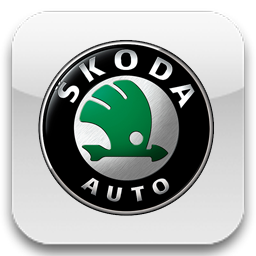 Кузовной ремонт автомобиля Skoda
